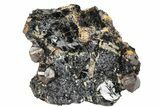Fluorescent Zircon Crystals in Biotite Schist - Norway #228212-1